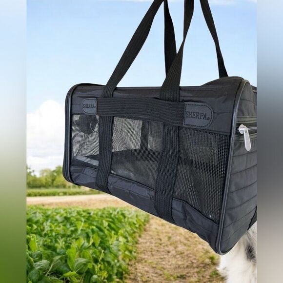 Pet Carrier Medium - Picture 1 of 16